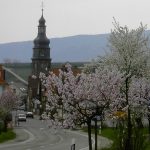 Weingut Benderhof