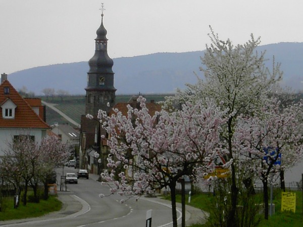 Weingut Benderhof